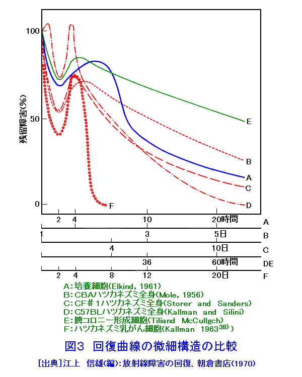 図３  回復曲線の微細構造の比較
