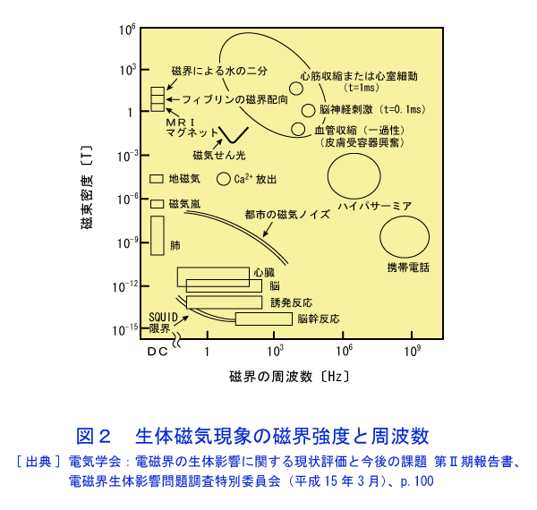 図２  生体磁気現象の磁界強度と周波数