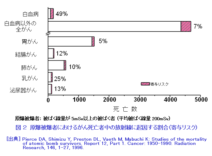 図２  原爆被爆者におけるがん死亡者中の放射線に起因する割合（寄与リスク）