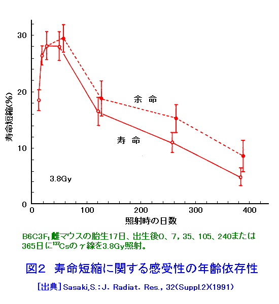 図２  寿命短縮に関する感受性の年齢依存性