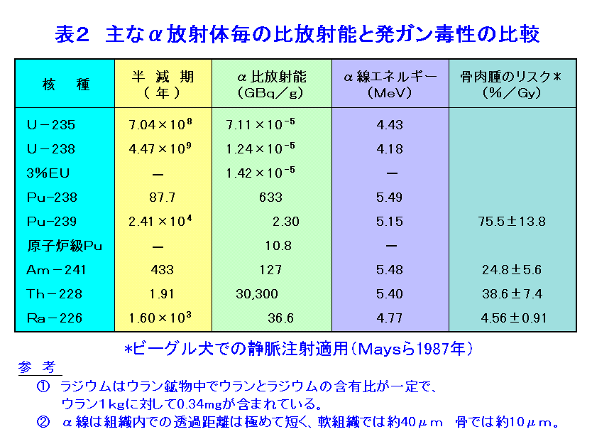表２  主なα放射体毎の比放射能と発ガン毒性の比較