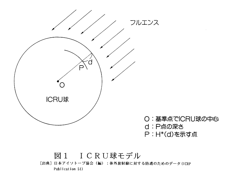 図１  ICRU球モデル