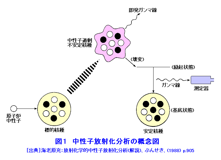 中性子放射化分析の概念図