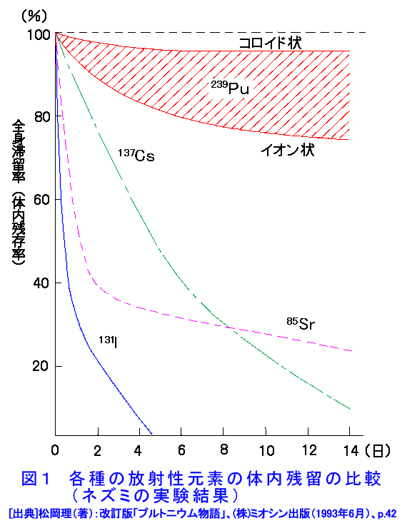図１  各種の放射性元素の体内残留の比較（ネズミの実験結果）